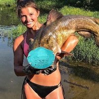 MMA Catfish (@mmacatfish) 's Twitter Profile Photo