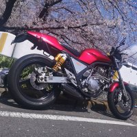 BSF (@bsf97883187) 's Twitter Profile Photo BSF (@bsf97883187) 's Twitter Profile Photo