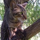 Donna Granger - @march1962 - Twitter