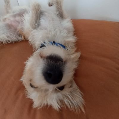 pilmarq's profile picture. 