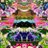 NFT_SYMMETRY's profile image