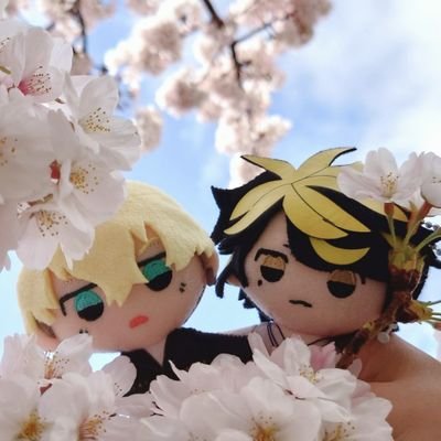 成人済/呪術廻戦(悠仁/夏油)/東リベ(一虎/千冬/若狭)お取引は郵送、都内手渡し(池袋周辺)にて。
仕事が忙しい為、返信が遅くなってしまうことがございます。
❇️初回はツイフィお読み頂き、お声掛けください。