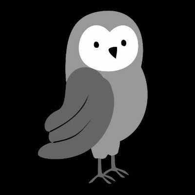 zzzecan's profile picture. Accumulation