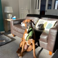 Tim Horsler (@tim_horsler) 's Twitter Profile