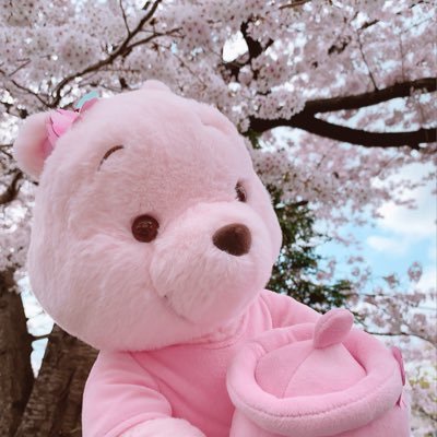 東京既婚三十路くらい。雑多垢。ディズニー🏰プー推し🐻マイメロディ/KOKIA/SixTONES/セーラームーン/猫/ハンドメイド/アニメ/腐/キャラクターもの好き🙆‍♀️交換もします♻️無言フォローすみません…