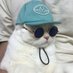 Sevtopolis🦄👑 (@iamsevto) Twitter profile photo Sevtopolis🦄👑 (@iamsevto) Twitter profile photo
