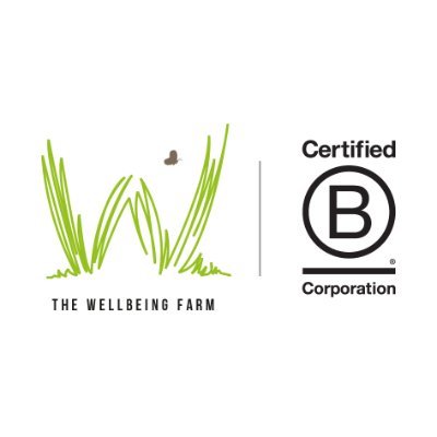 Multi-award-winning B Corp Certified wedding and corporate events and party venue!