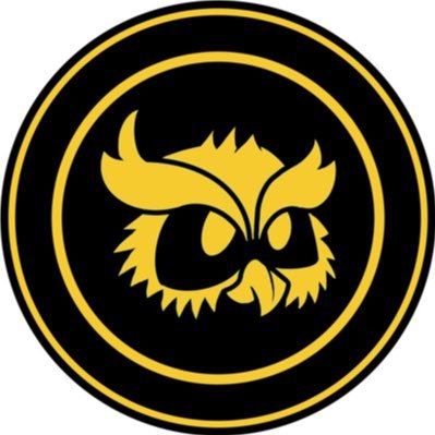 Antoo The Owl is a collection of unique NFT owls 🦉  Verified owl in Pentas