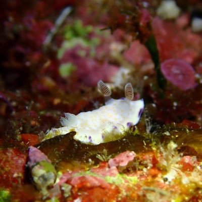 umyu__03's profile picture. TokyoTech 19B→23M JK