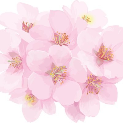 Tadano_SqLa's profile picture. 