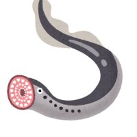 ぽろぺつ (@glusterhopper) 's Twitter Profile