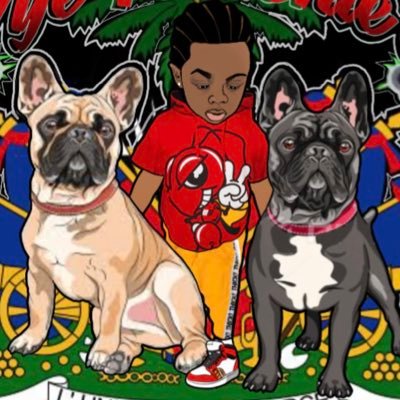 IG/TikTok @Vyefrenchies57 🪫Vye Way Of Living🔋🐾 est.2020🪙 🌍WorldWide🗺 AK©️ CE®️TIFIED📄 💧Stud's Available📲DⓂ️