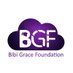 Bibi Grace Foundation #EveryChildMatters#Education (@BGF_NGO) Twitter profile photo