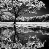 Nicole D (@nicoleva_d) 's Twitter Profile Photo