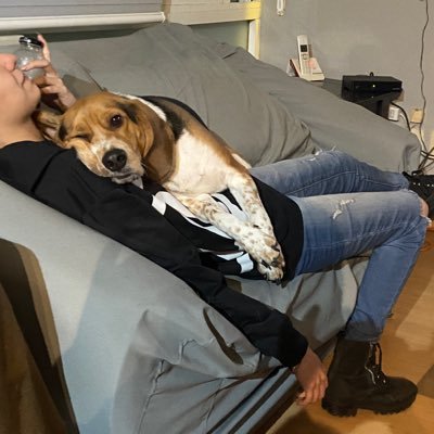 lmriosche's profile picture. 