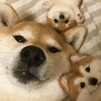 链上黑奴 (@biting61592020) 's Twitter Profile