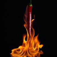 🔻 د. س. فلفل (@pepper_q8) Twitter profile photo