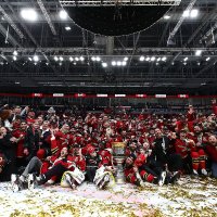 Денис Шишкин (@denanshi) 's Twitter Profile