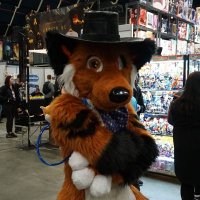 Tyros the Fox(@Tyrosthefox) 's Twitter Profile Photo