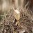 Torfa85's profile image