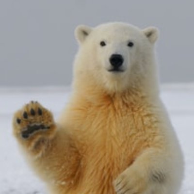 givemekin's profile picture. Twitter始めた当初の目的から方針が変わり、ただ日常を垂れ流す謎のアカウント