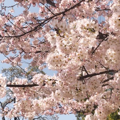 誕生日に祝われて高まった自己肯定感で1年間生き延びてます 理工J科
