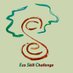 @E_S_Challenge