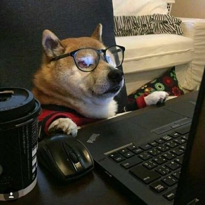 bujianxiyue's profile picture. 💙 https://t.co/zeMfckYzn8 Army