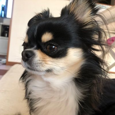 大和さんのプロフィール画像