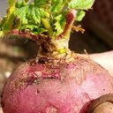 Ron Day - @BoundlessRonDay - Twitter