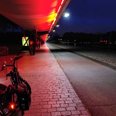 Promouvoir le vélo comme moyen de transport : lutter contre la pollution,  l'inactivité qui engendre des problèmes de santé, retrouver du pouvoir d'achat...