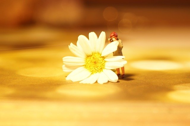 Dilde82366206's profile picture. 