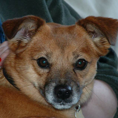 HelenEcclesby's profile picture. 