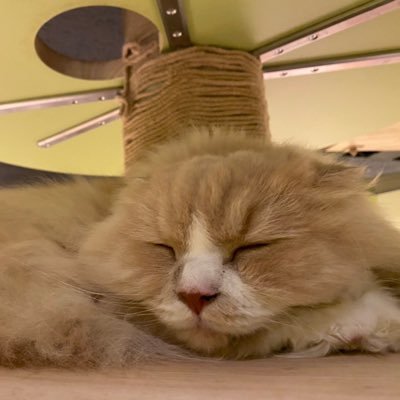 nm_410's profile picture. 