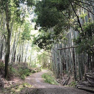 深草の里さんのプロフィール画像