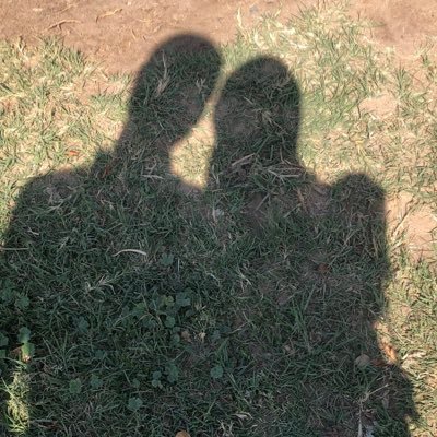 4shs4's profile picture. Mobile Software engineer - Medical graduate  - https://t.co/mEk9y0frbe