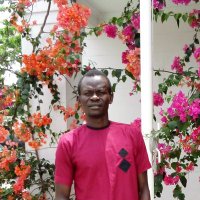 Oyeniyi Adetayo Emmanuel (@adeoyeeman43) 's Twitter Profile