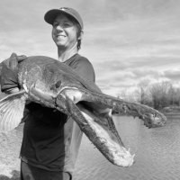 Derek C. Sallmann (@sallmannc) 's Twitter Profile