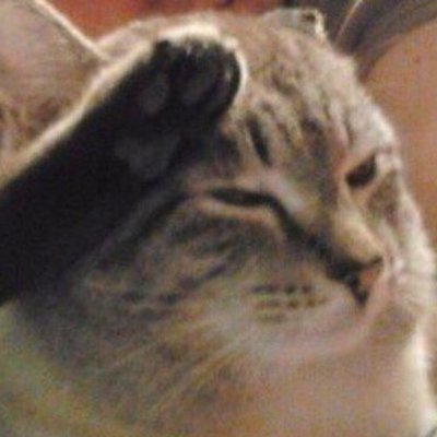 O_GEM_'s profile picture. 