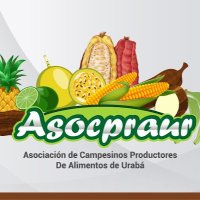 Asociación Campesinos Productores de Alimentos (@asociacincampe3) 's Twitter Profile