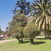 taloalvear (@taloalvear) 's Twitter Profile Photo taloalvear (@taloalvear) 's Twitter Profile Photo