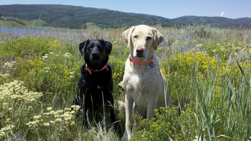 jadester2005's profile picture. 