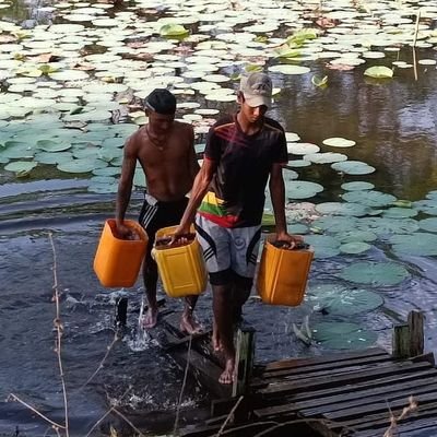 William63077796's profile picture. 