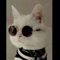 ❤se_ro💙 (@serpils44617386) Twitter profile photo