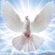 ECCLESIASTES1_G007. D.S.U (@ecclesiastes1g7) 's Twitter Profile