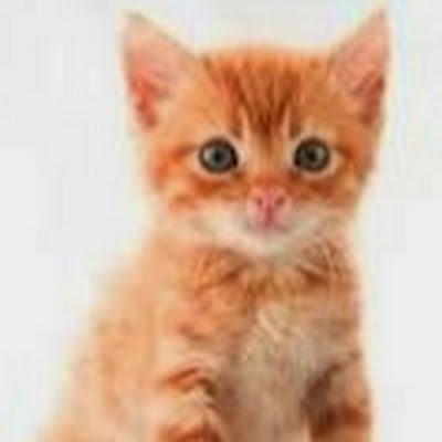 Someguy21122's profile picture. 