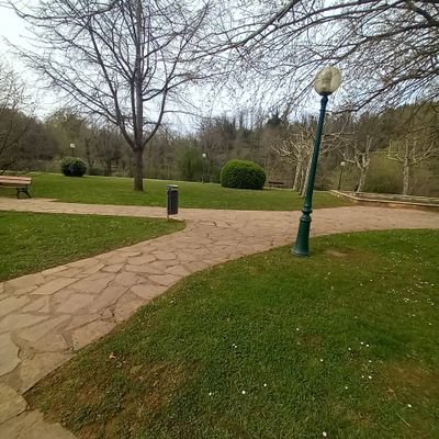 Rachid35825757's profile picture. 