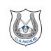 Rosegreen GAA Club (@Rosegreen_Gaa) Twitter profile photo