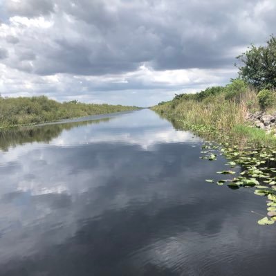 AdolfoTupul's profile picture. Pensar en el futuro hacer algo bueno por aquellos que realmente lo necesitan y que quieran salir a delante