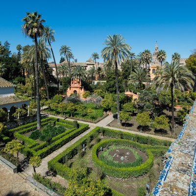 CarlosG44161447's profile picture. @Sevquieremetro